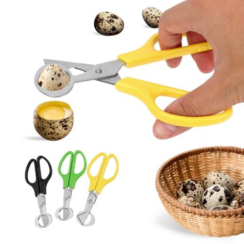 HILIFE Multifunction Cigar Cutters Quail Egg Shell Scissors Rust Resistant Stainless Steel Blade Kitchen Tools Durable HILIFE Multifunction Cigar Cutters Quail Egg Shell Scissors Rust Resistant Stainless Steel Blade Kitchen Tools Durable